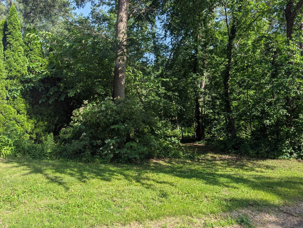 2145 Hawthorne Drive - Photo 1