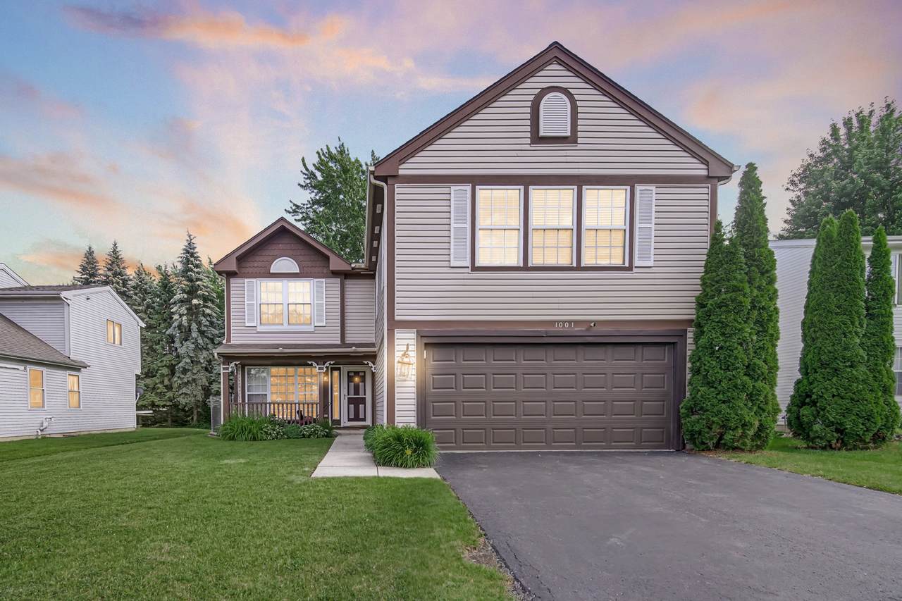 1001 Martingale Lane - Photo 1