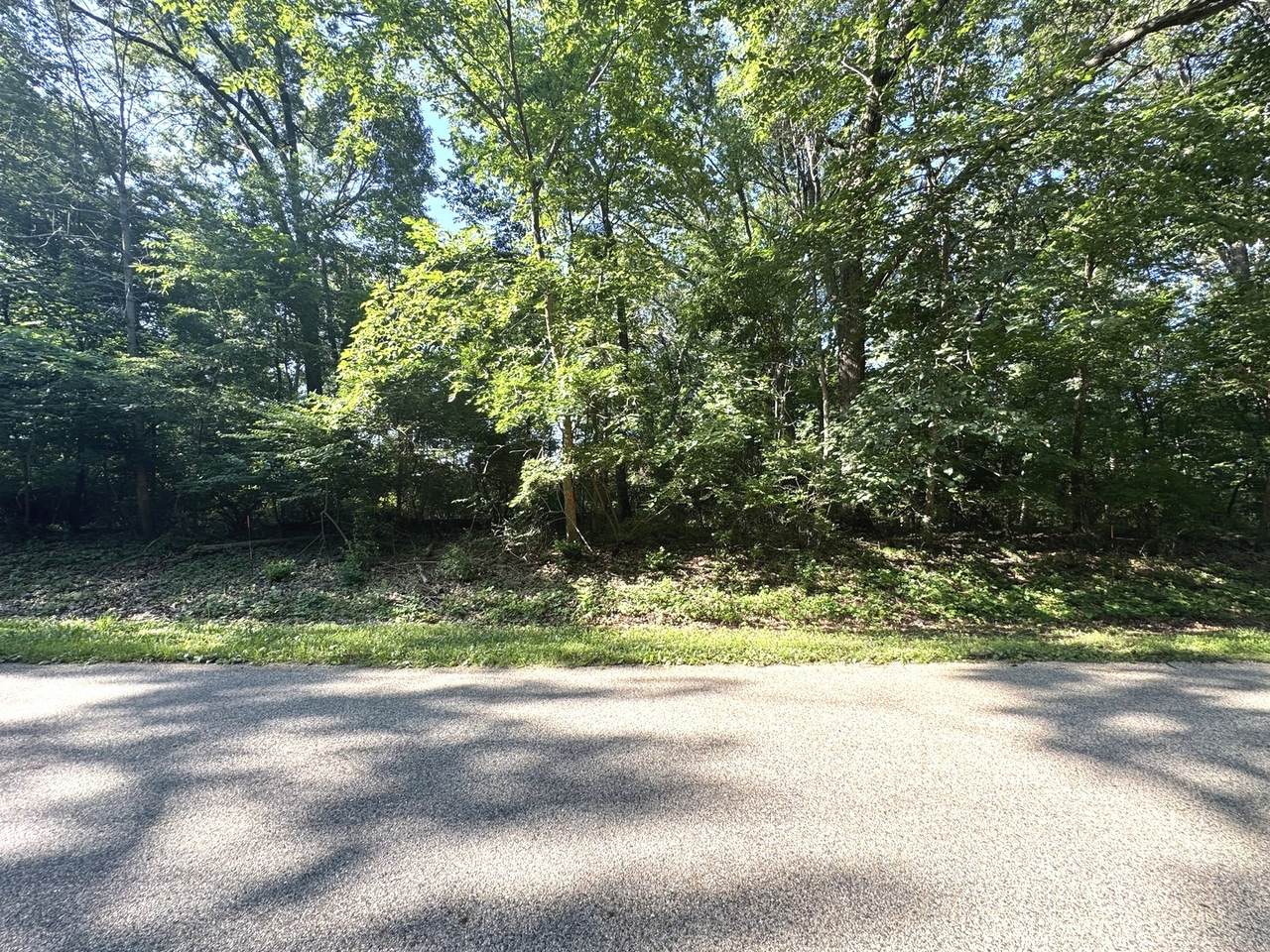 Lot 90 Lake Thunderbird Drive - Photo 1