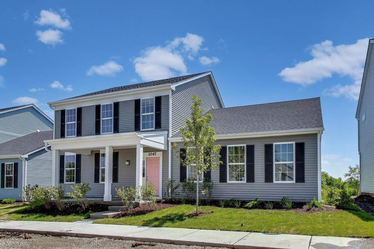 1047 Celebration Drive - Photo 1