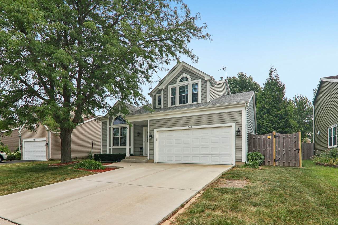 341 Dorchester Lane - Photo 1