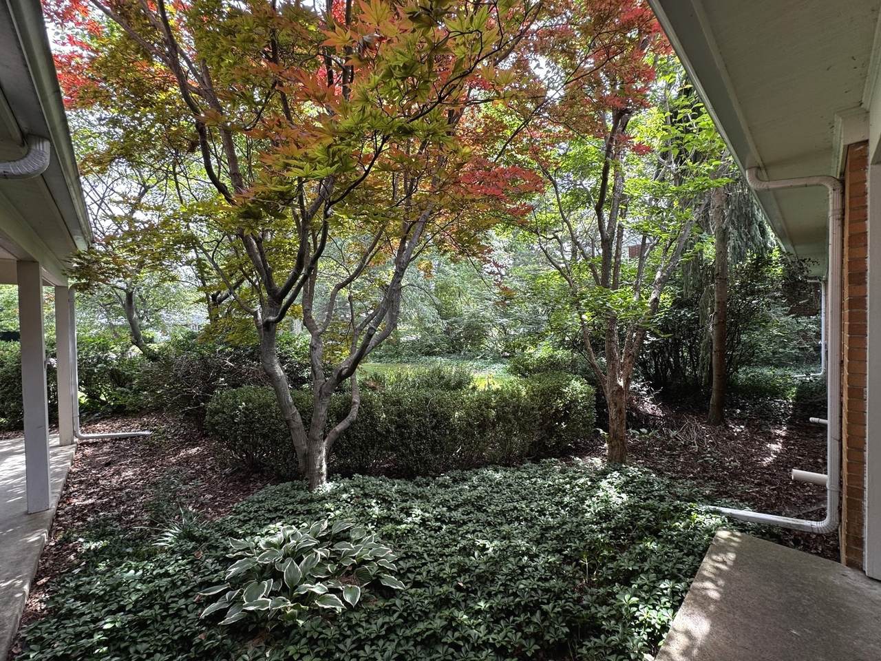 https://bt-photos.global.ssl.fastly.net/mred/1280_boomver_1_12715096-1.jpg