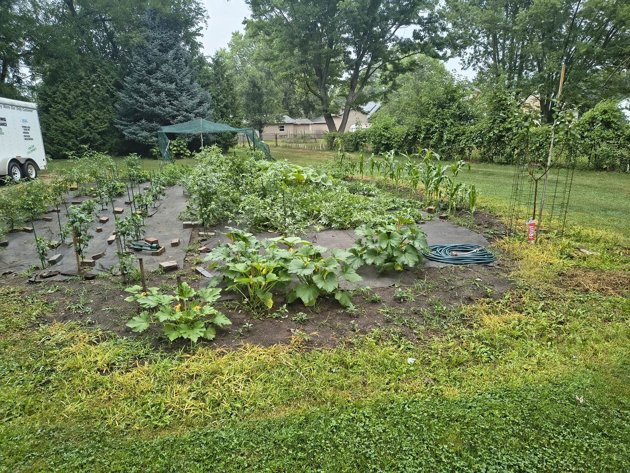 https://bt-photos.global.ssl.fastly.net/mred/1280_boomver_1_12719374-1.jpg