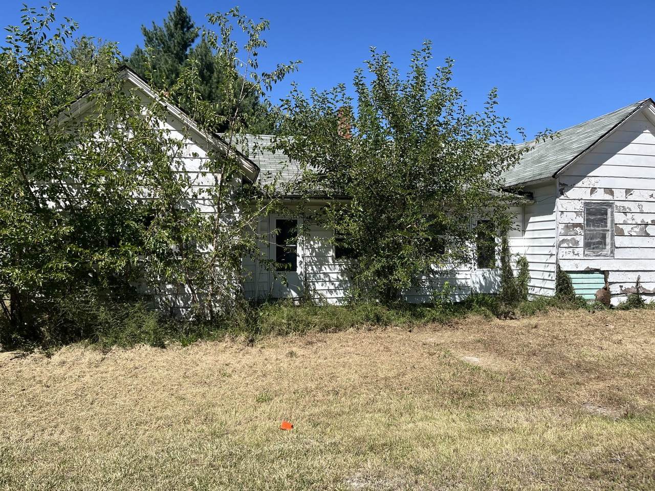 506 Mclean Street - Photo 1
