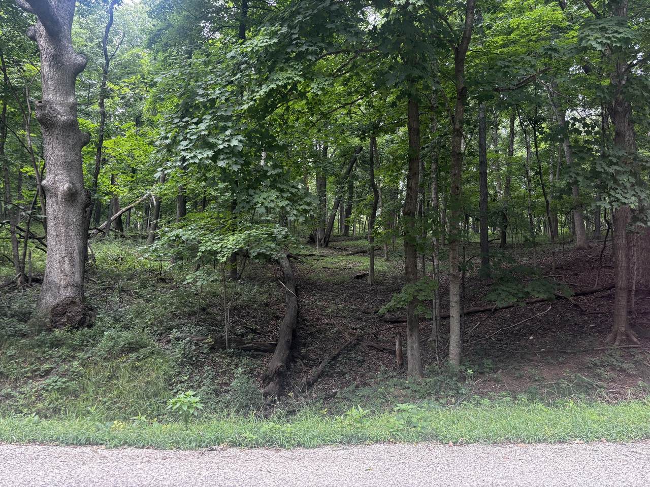 1806 Tanglewood Drive - Photo 1