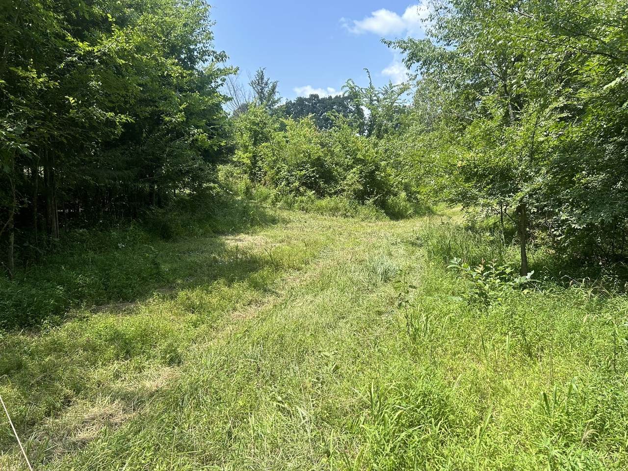 TBD Bushwack Road - Photo 1