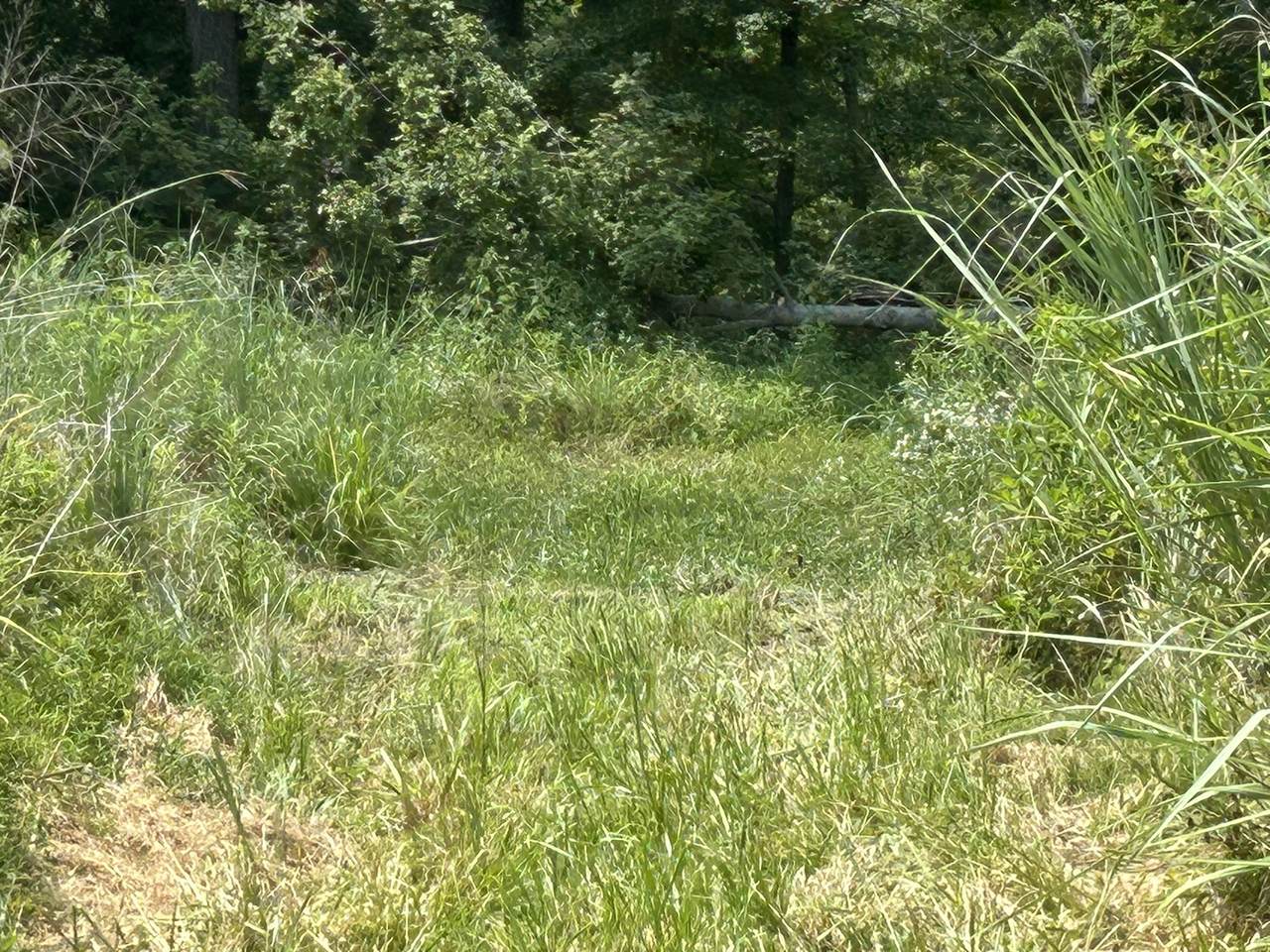 https://bt-photos.global.ssl.fastly.net/mred/1280_boomver_1_12737346-1.jpg