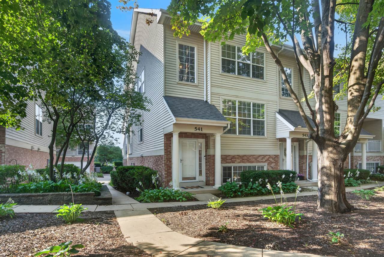 541 Pheasant Trail - Photo 1
