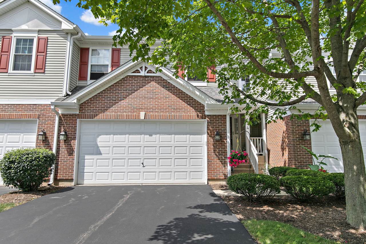 244 Lineas Lane - Photo 1