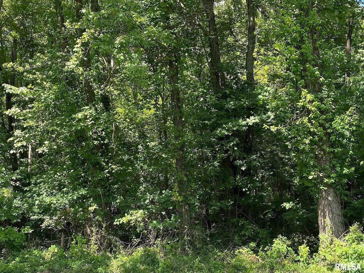 https://bt-photos.global.ssl.fastly.net/mred/1280_boomver_1_EB451170-1.jpg