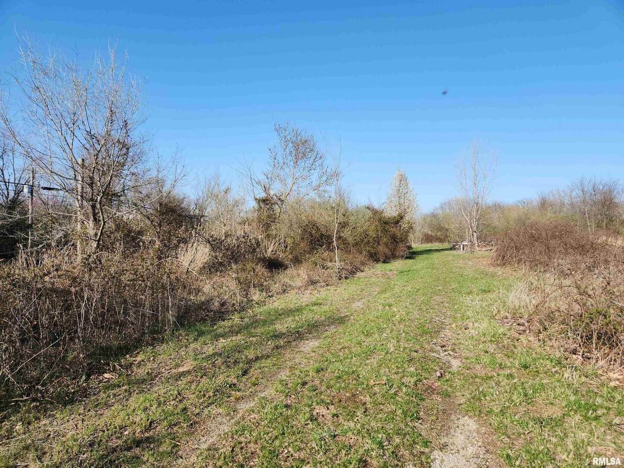 1300 Tolle Lane - Photo 1