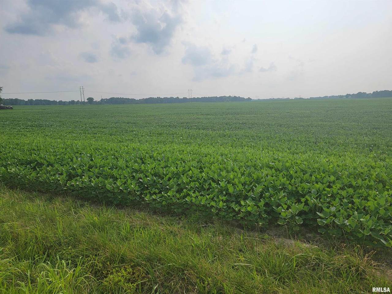 https://bt-photos.global.ssl.fastly.net/mred/1280_boomver_1_EB454443-1.jpg