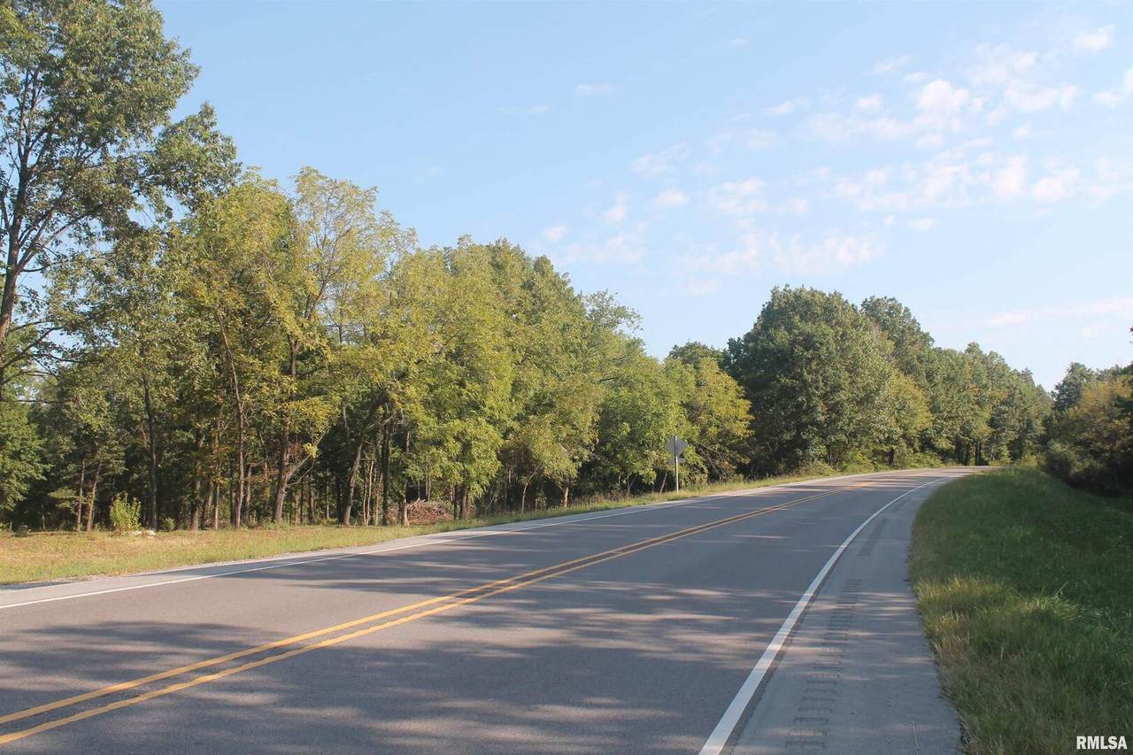 000 Us Hwy 51 Highway - Photo 1