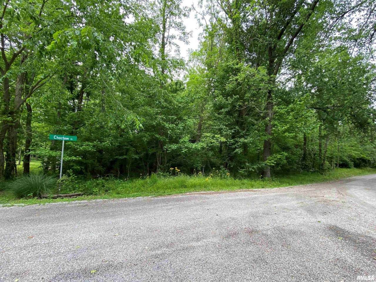 Lot 4 Choctaw Drive - Photo 1