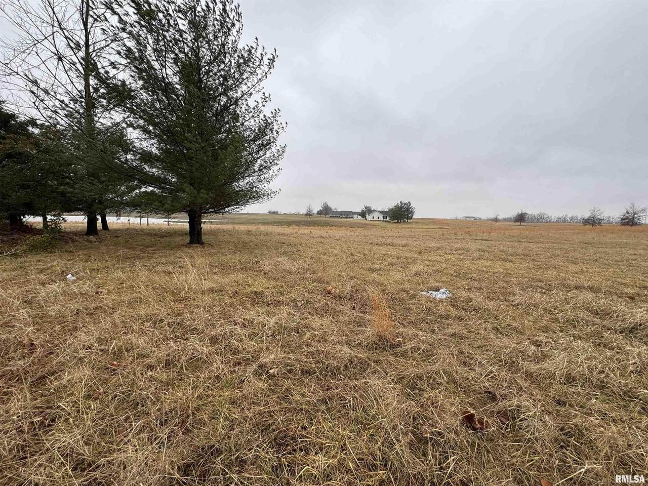 Lot 1&2 Raleigh Road - Photo 1