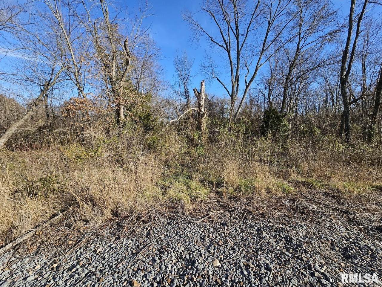 0000 Il 37 Highway - Photo 1