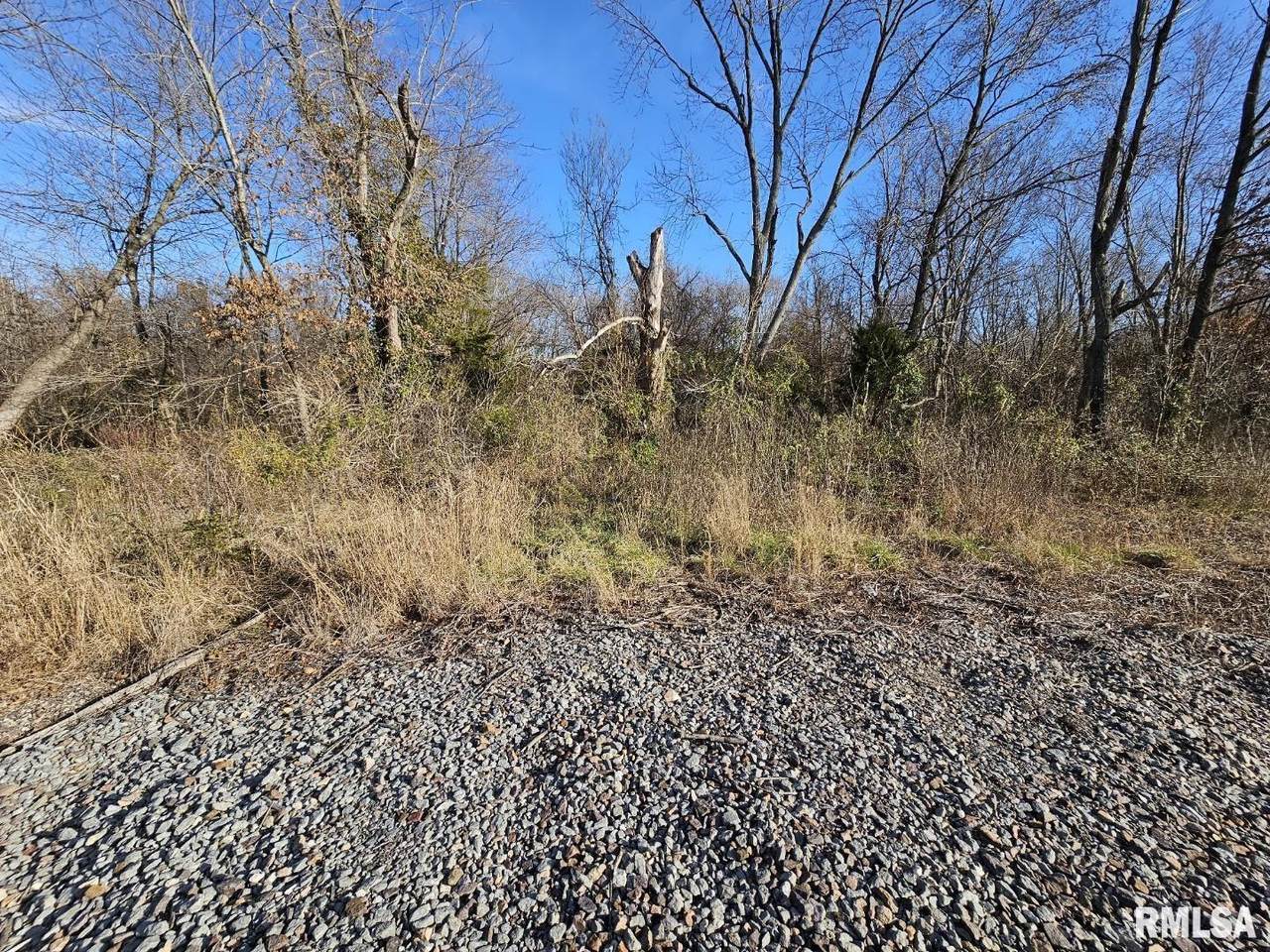 https://bt-photos.global.ssl.fastly.net/mred/1280_boomver_1_EB458606-1.jpg