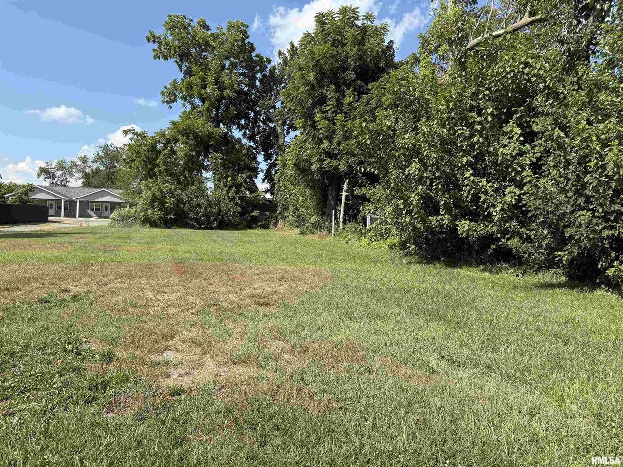 1008 Main Street - Photo 1