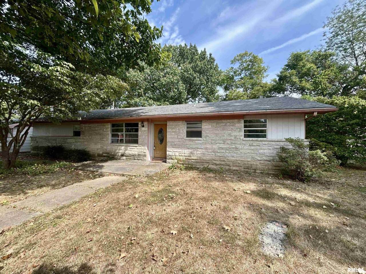 1378 Skelcher Boulevard - Photo 1