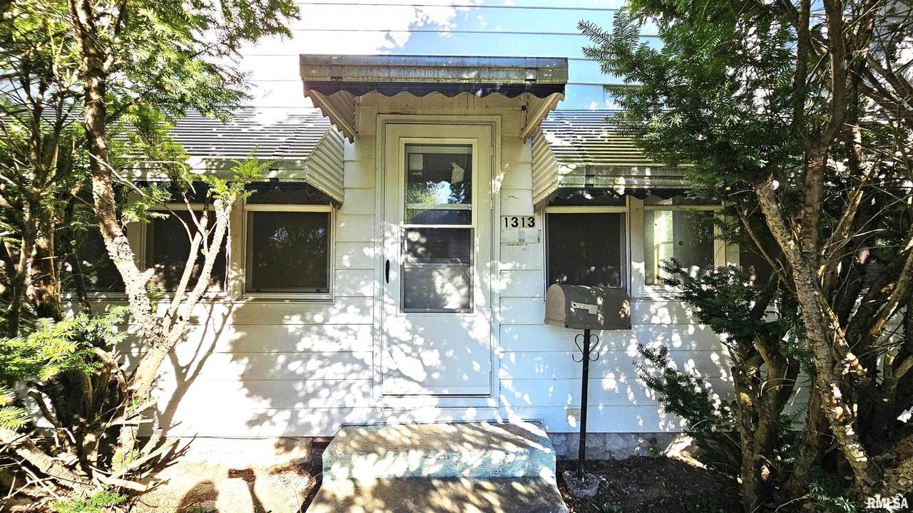 1313 Newton Avenue - Photo 1