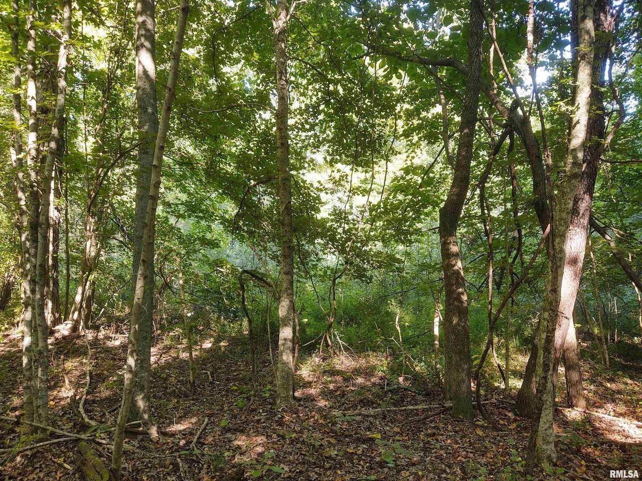 3830 Gum Springs Road - Photo 1