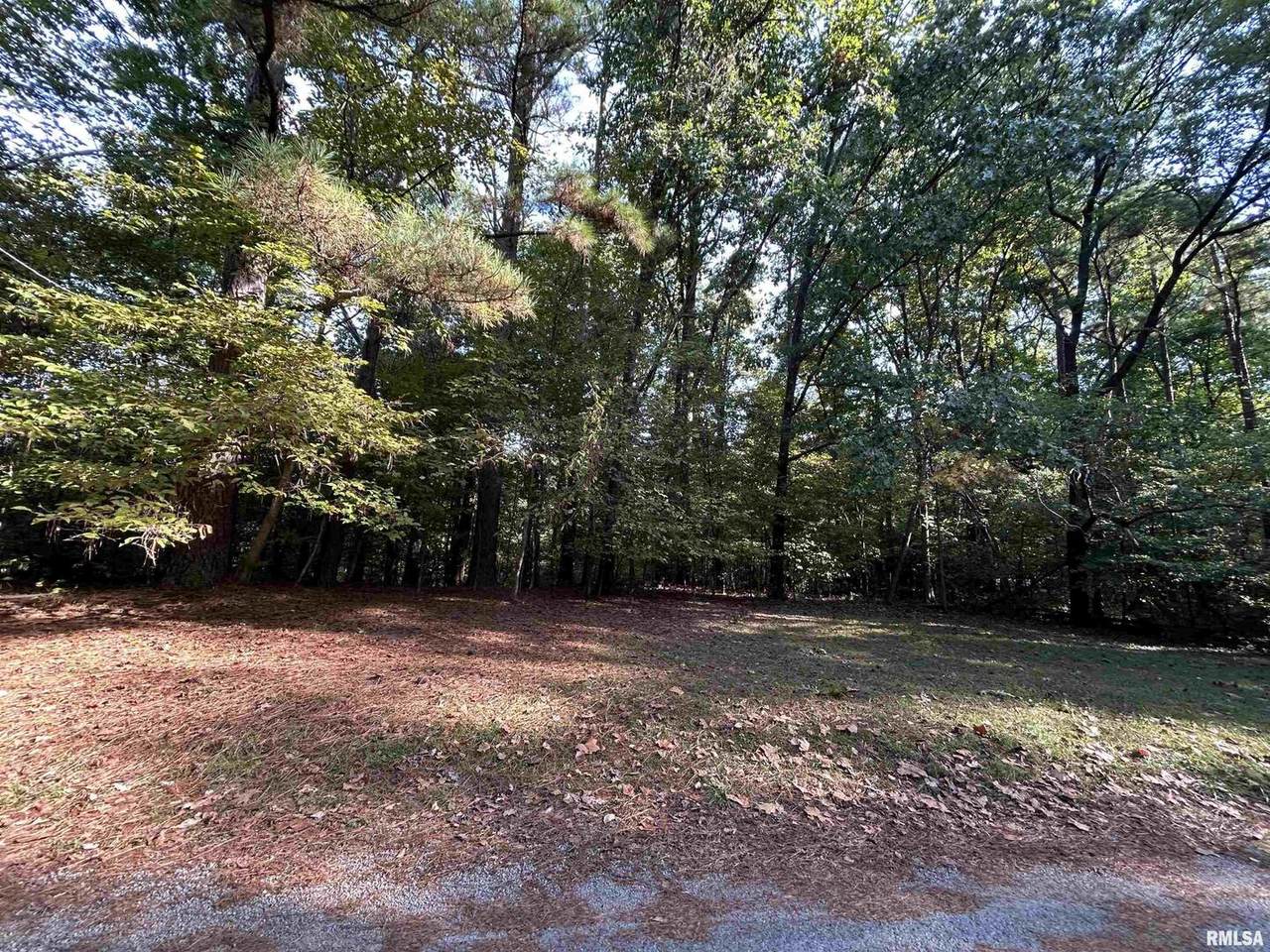 Lot 6 May Apple Lane - Photo 1