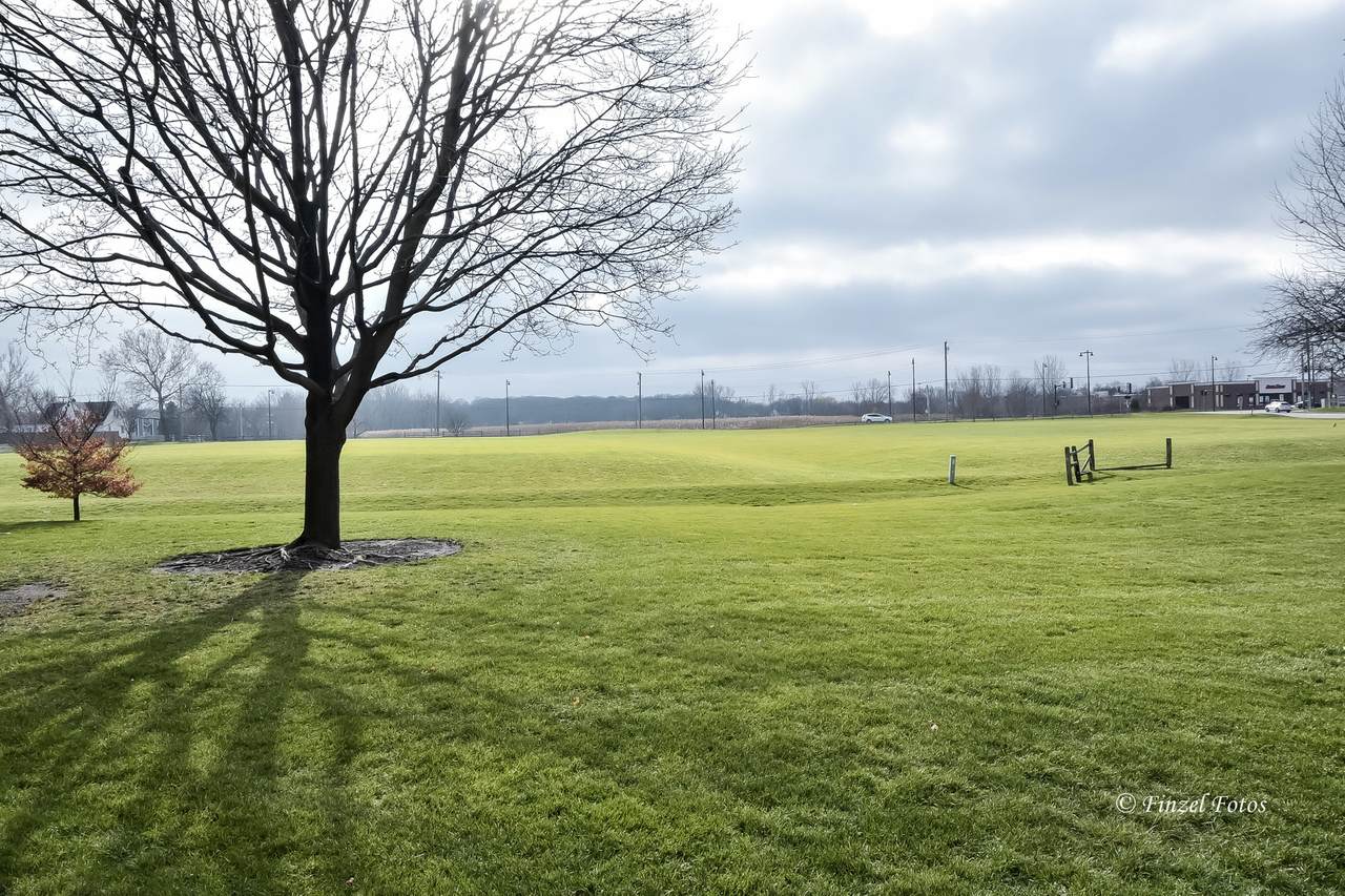 749 Streamwood Boulevard - Photo 1