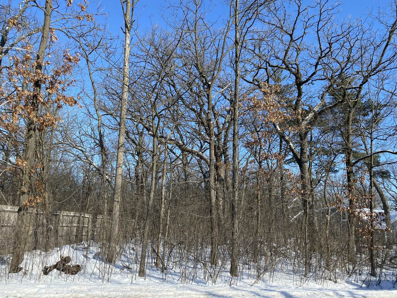 0 Ridge Road - Photo 1