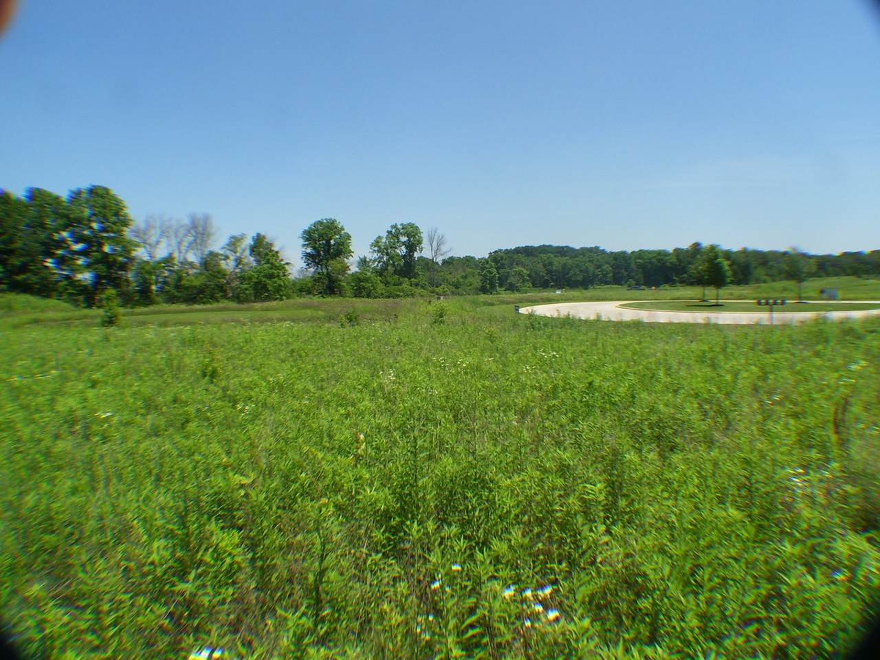 37W206 Deer Pond Court - Photo 1