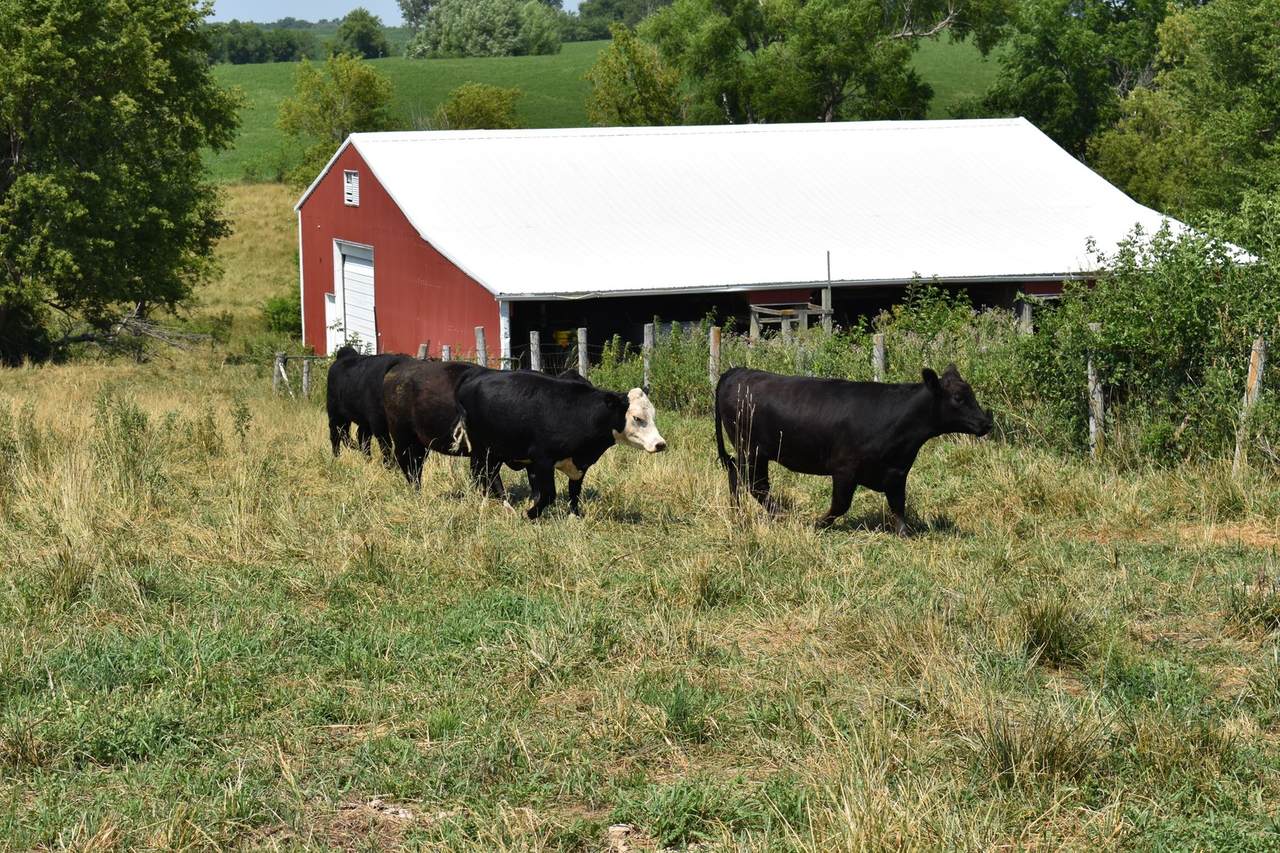 19098 Blue Goose Road - Photo 1