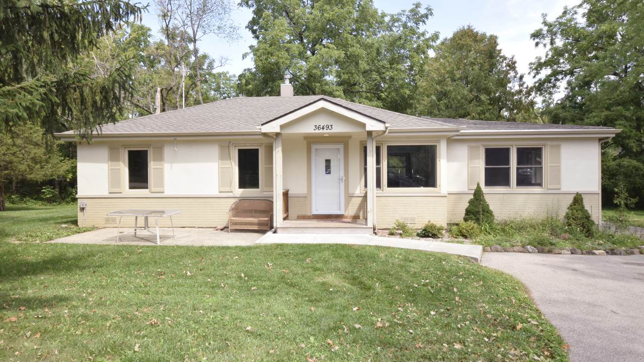 36493 Hawthorne Lane - Photo 1