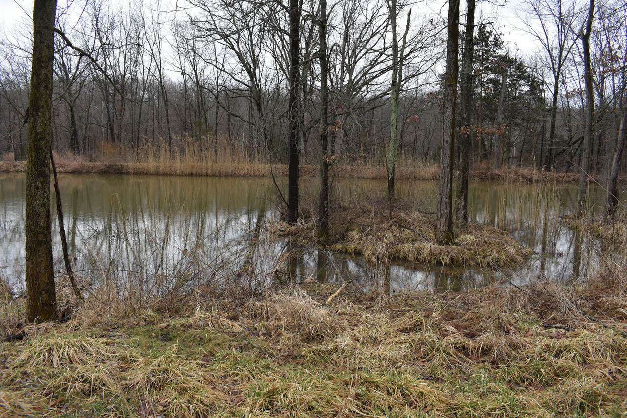 500 Snake Trail Road - Photo 1