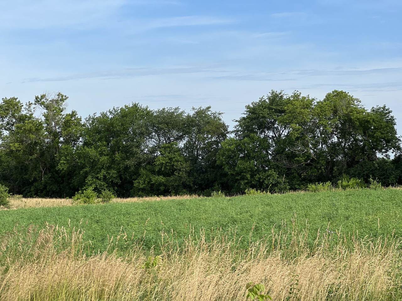 4916 Moraine Trail - Photo 1