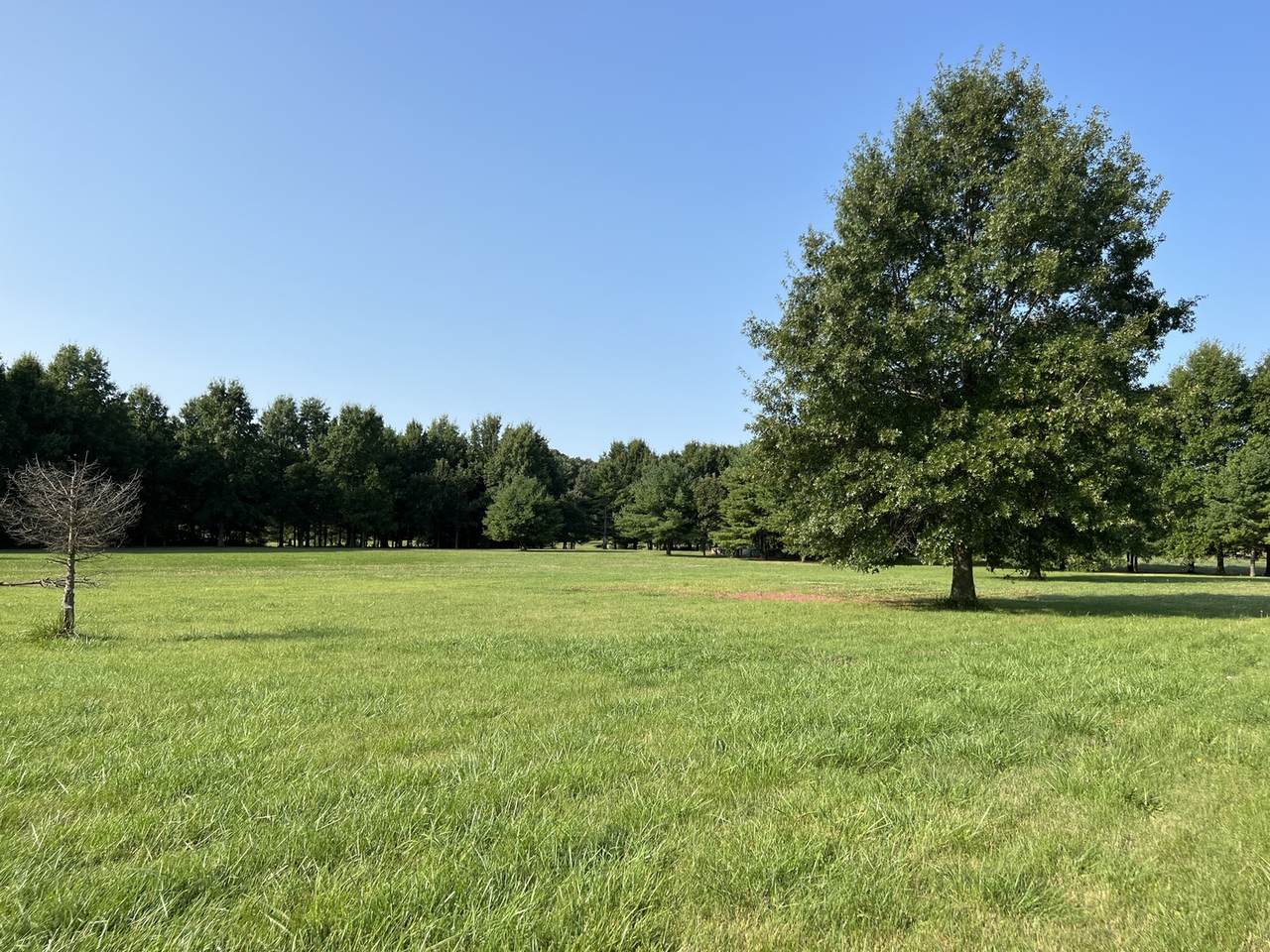 19509 Manteno Road - Photo 1
