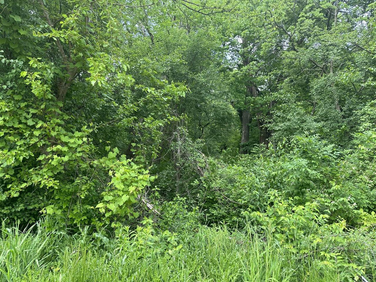 0000 Harmony Road - Photo 1