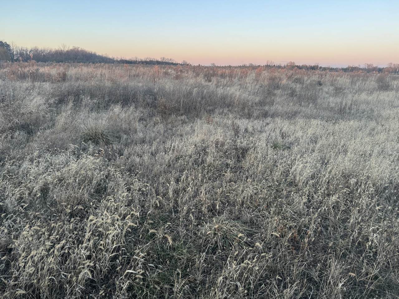 0 Indiana Avenue - Photo 1