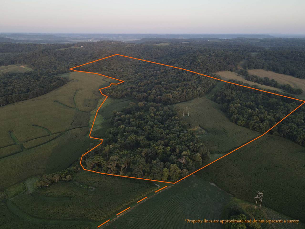 000 Steele Road - Photo 1