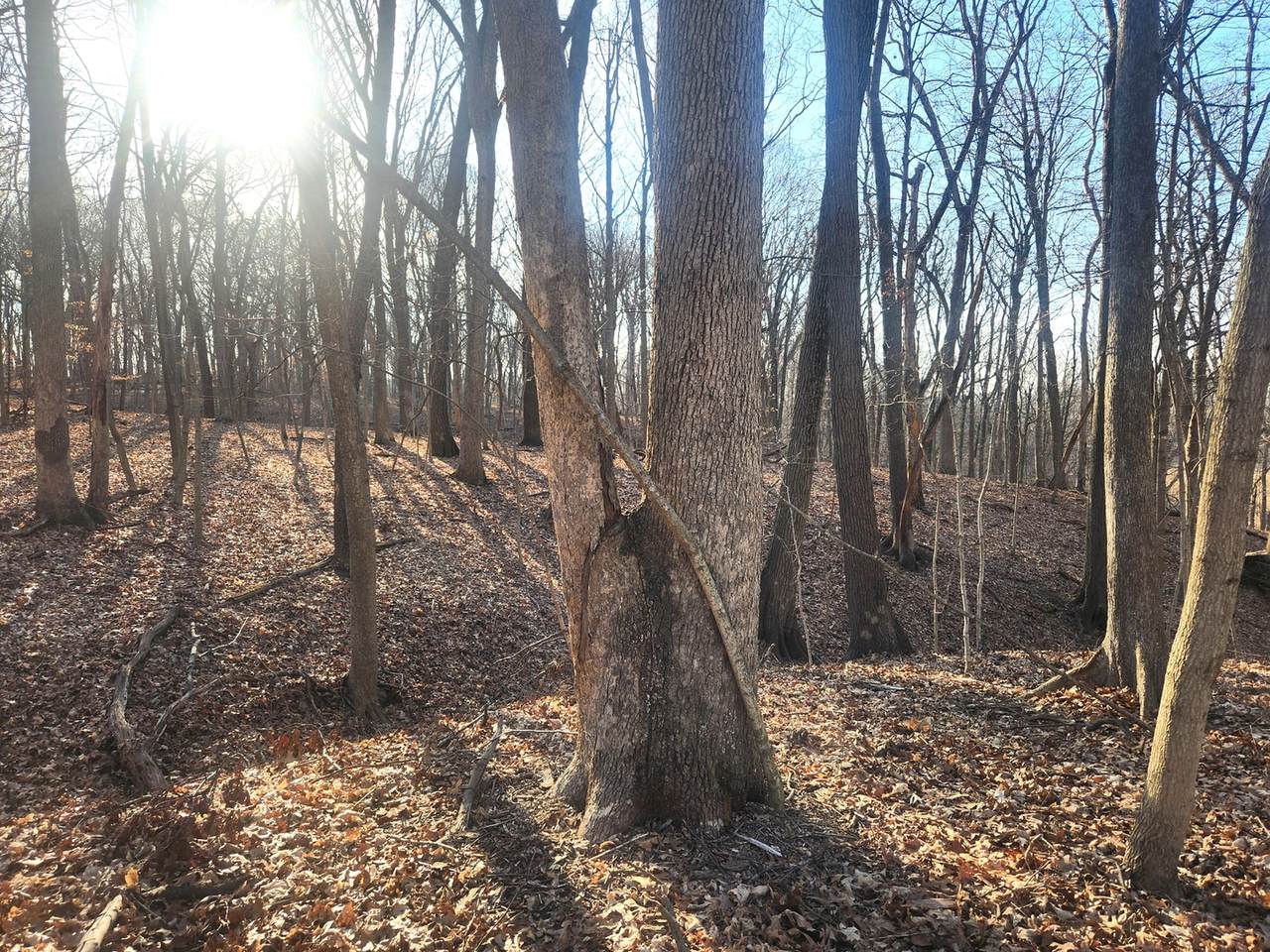 Lot 1764 Sunflower Court - Photo 1