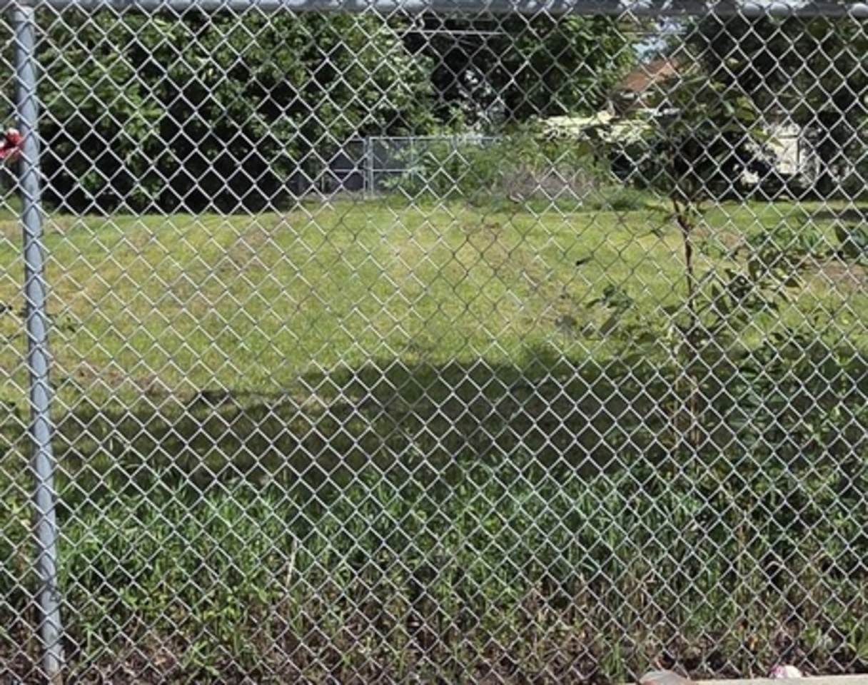 12321 Halsted Street - Photo 1