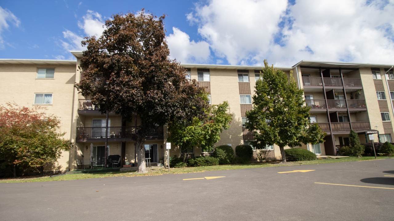 650 Murray Lane - Photo 1