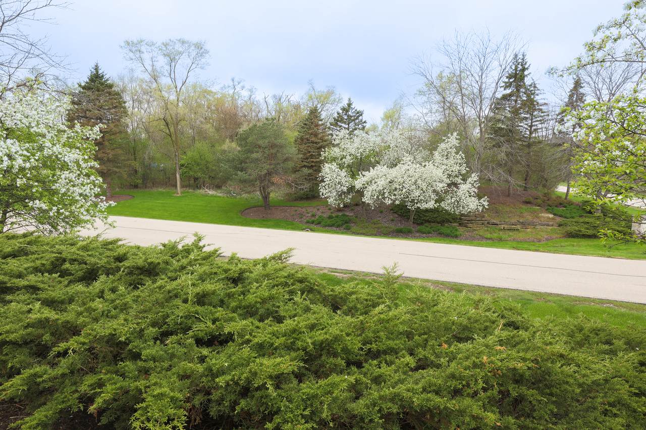 39976 Jonathan Knolls Lane - Photo 1