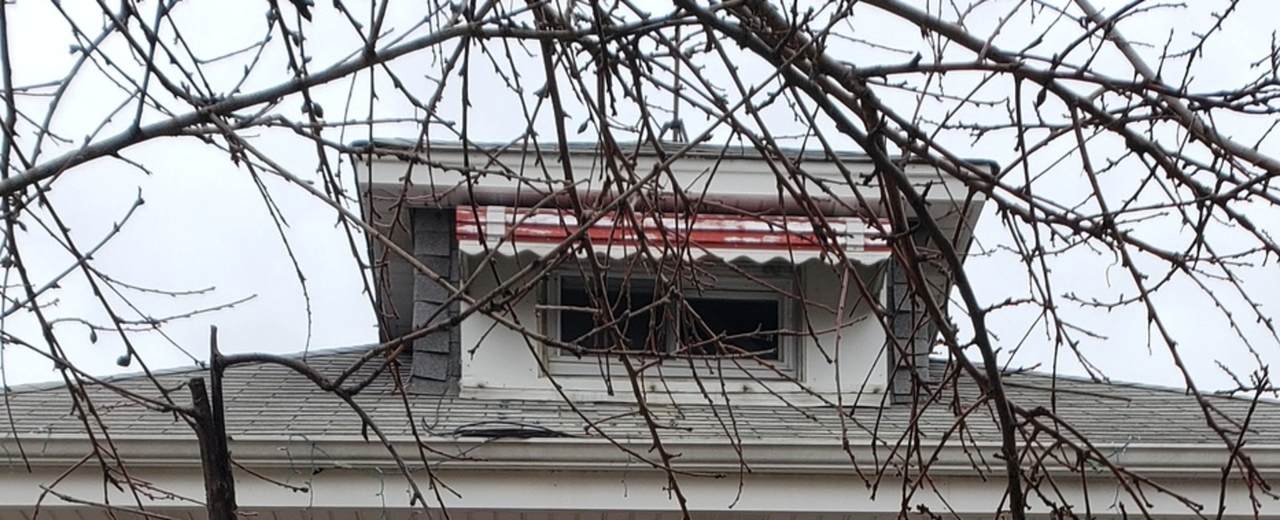 5709 Mozart Street - Photo 1