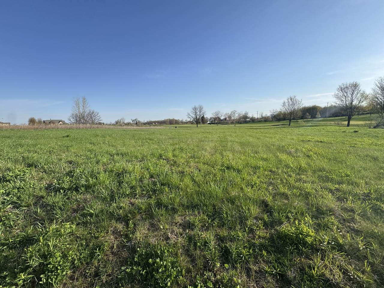 10006 Saint Andrews Drive - Photo 1