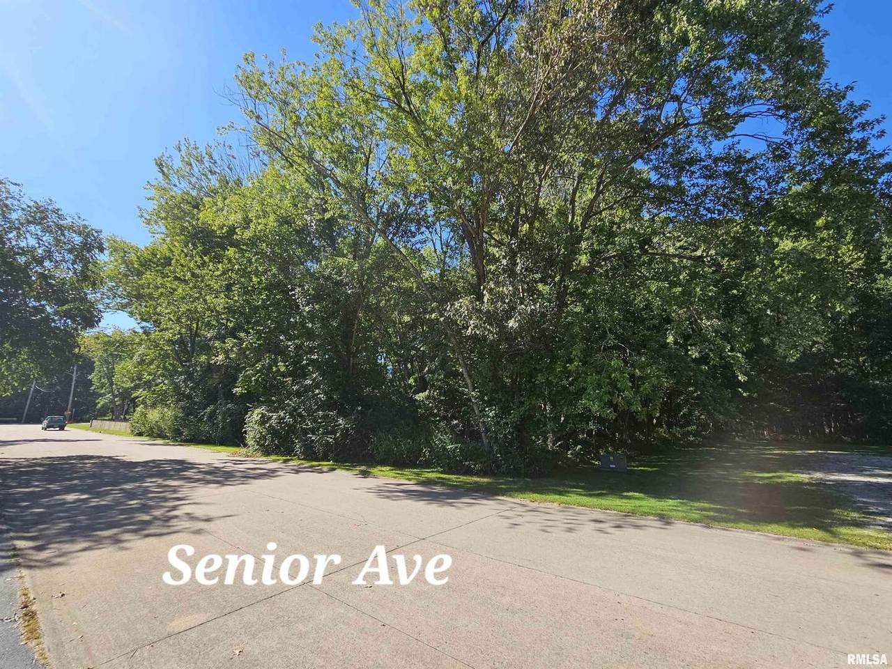 TBD Senior Avenue - Photo 1
