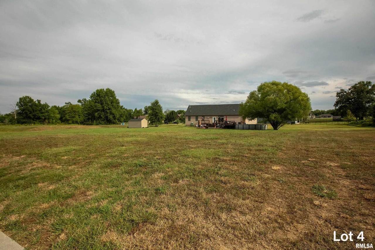 1807 Roye Lane - Photo 1