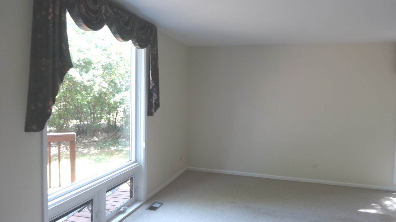 12 Birch Tree Court - Photo 1