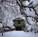 3 Moore Road - Photo 80