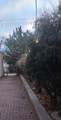 1603 Oakton Street - Photo 12
