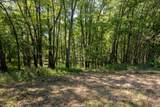 Tract 4 Mayflower Road - Photo 39