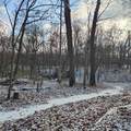 4 Malibu Drive - Photo 8